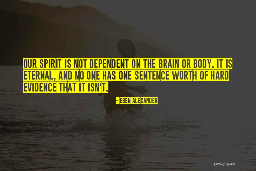 Niem Ller Martin Quotes By Eben Alexander Niem Ller Martin Quotes By Eben Alexander