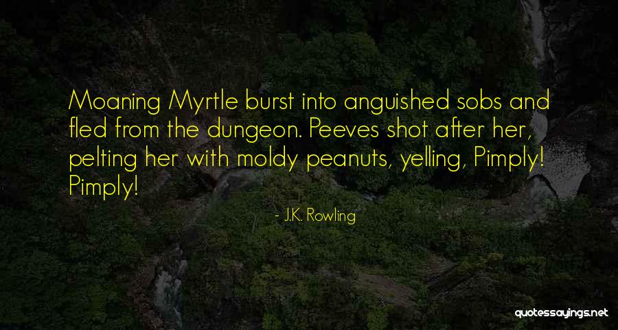 Niemand Kan Quotes By J.K. Rowling Niemand Kan Quotes By J.K. Rowling