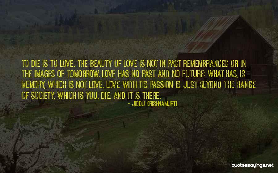Niemirska Nago Quotes By Jiddu Krishnamurti Niemirska Nago Quotes By Jiddu Krishnamurti