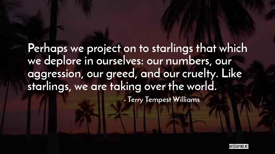 Nienasycone Quotes By Terry Tempest Williams Nienasycone Quotes By Terry Tempest Williams