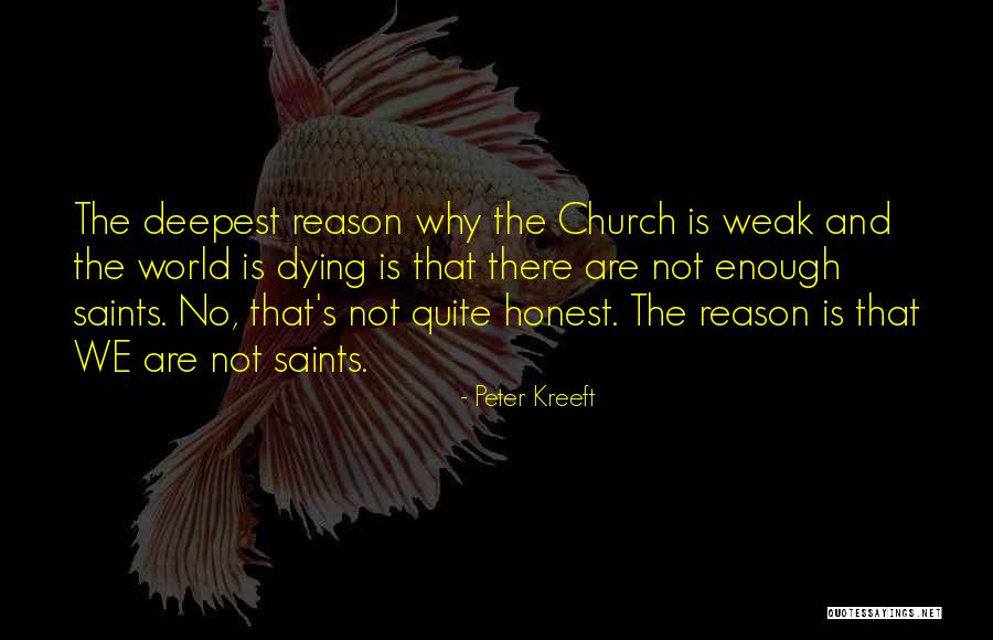 Nienhuis Quotes By Peter Kreeft Nienhuis Quotes By Peter Kreeft