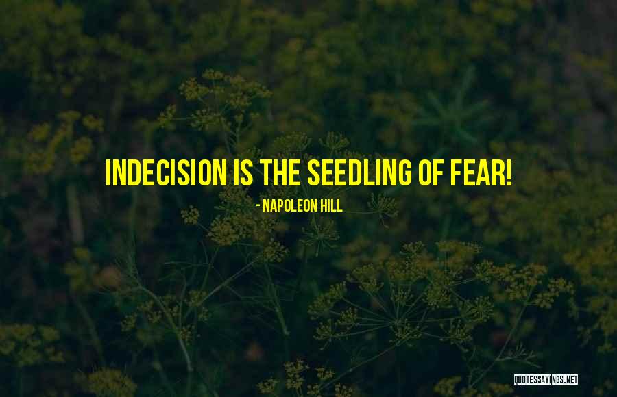 Nienke Meijer Quotes By Napoleon Hill Nienke Meijer Quotes By Napoleon Hill