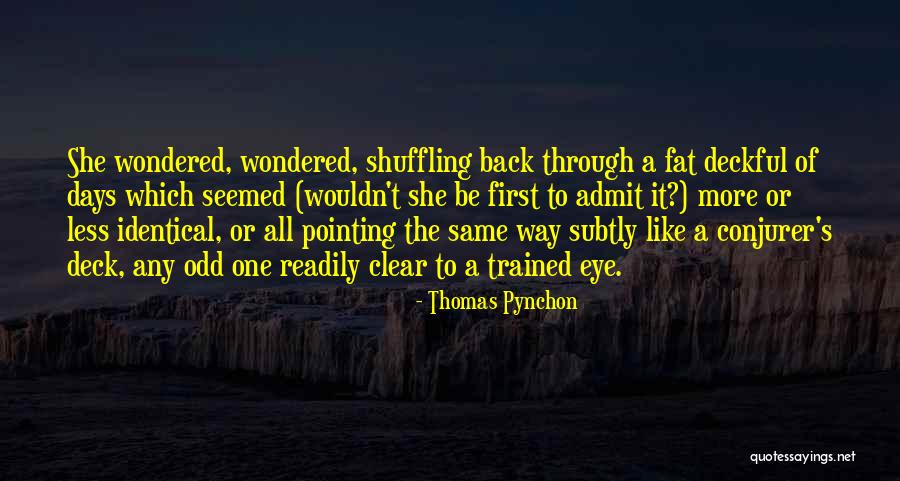 Nienstedt Archbishop Quotes By Thomas Pynchon Nienstedt Archbishop Quotes By Thomas Pynchon