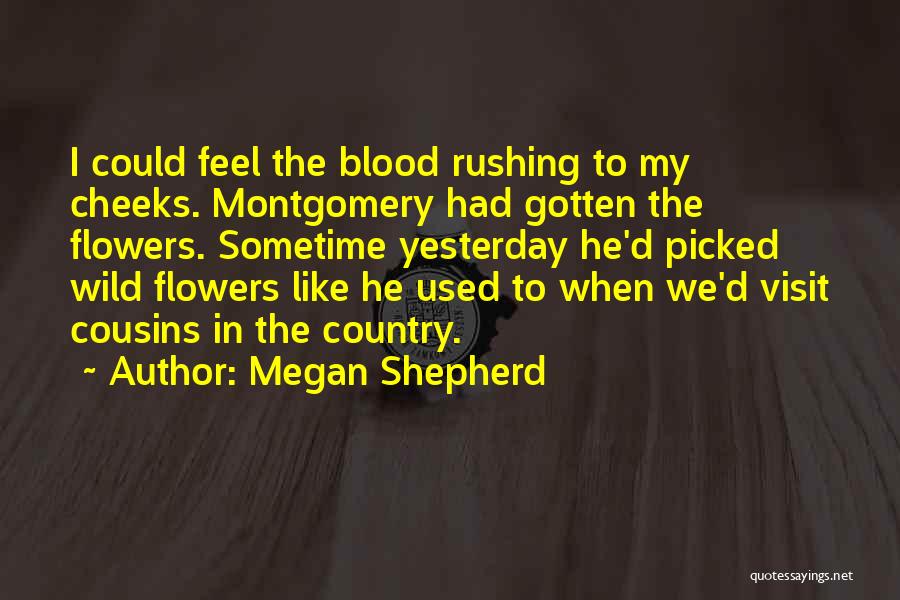 Niepokalanow Monstrancja Quotes By Megan Shepherd