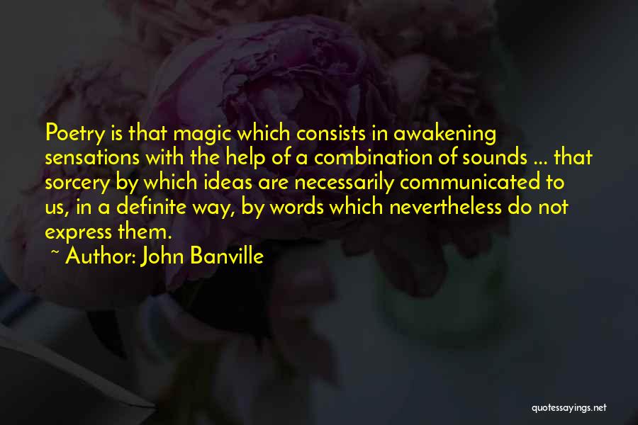 Nier Quotes By John Banville