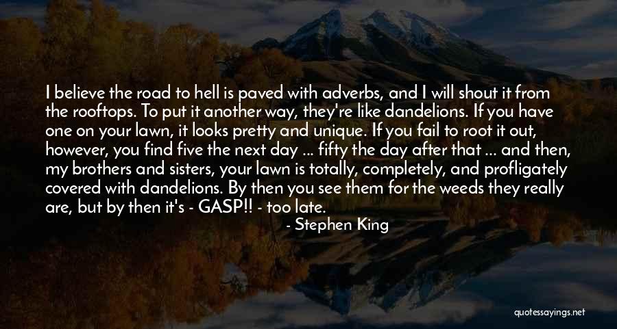 Niese Hauling Quotes By Stephen King Niese Hauling Quotes By Stephen King
