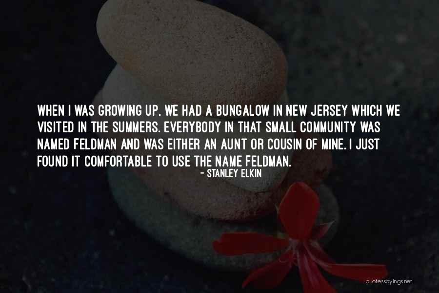Niethammer Construction Quotes By Stanley Elkin Niethammer Construction Quotes By Stanley Elkin