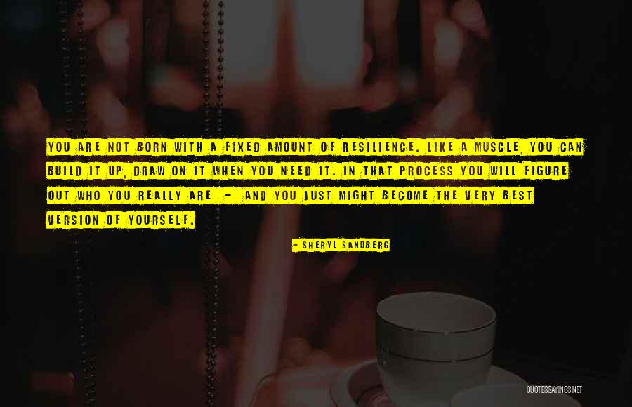 Nieuwkoop And Faber Quotes By Sheryl Sandberg Nieuwkoop And Faber Quotes By Sheryl Sandberg