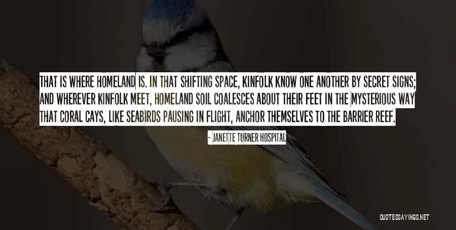 Niewielka Quotes By Janette Turner Hospital Niewielka Quotes By Janette Turner Hospital