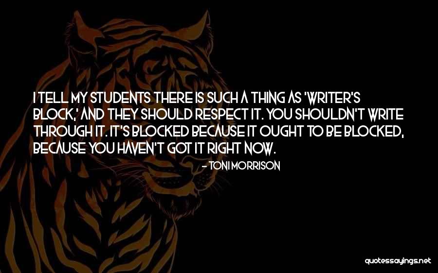 Nigamananda Quotes By Toni Morrison Nigamananda Quotes By Toni Morrison