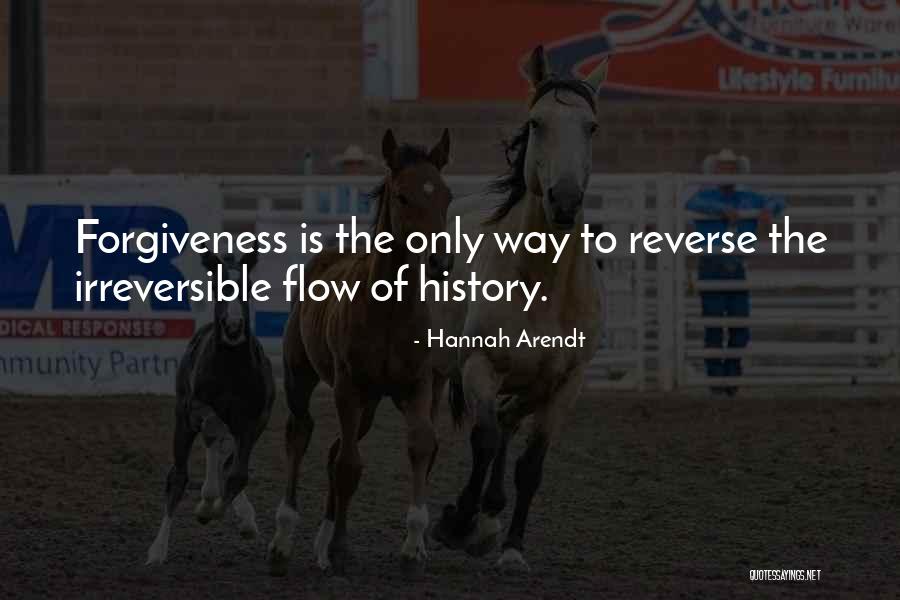 Niger Funny Quotes By Hannah Arendt Niger Funny Quotes By Hannah Arendt