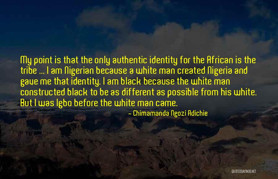 Nigerian Quotes By Chimamanda Ngozi Adichie Nigerian Quotes By Chimamanda Ngozi Adichie