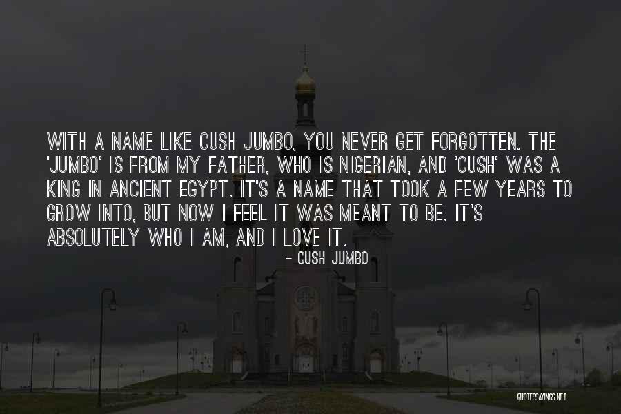 Nigerian Quotes By Cush Jumbo Nigerian Quotes By Cush Jumbo