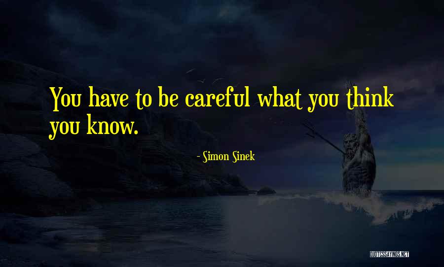 Niggemeyer Abbott Quotes By Simon Sinek