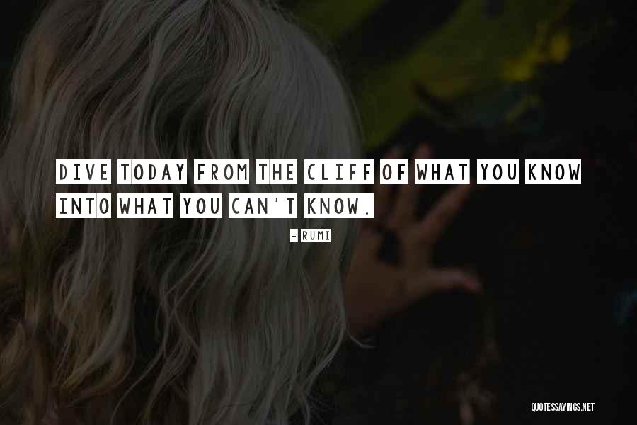 Niggito Quotes By Rumi Niggito Quotes By Rumi