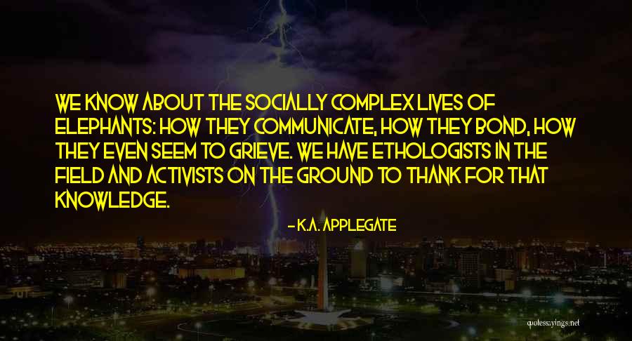 Nigglywiggly Quotes By K.A. Applegate Nigglywiggly Quotes By K.A. Applegate