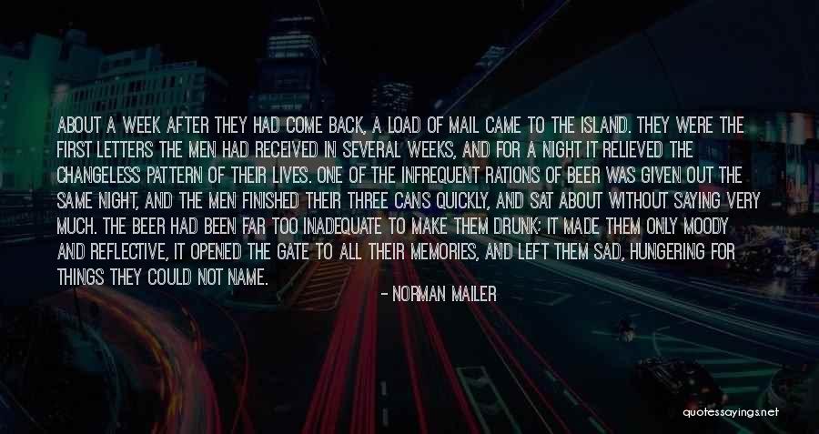 Night After Drinking Quotes By Norman Mailer