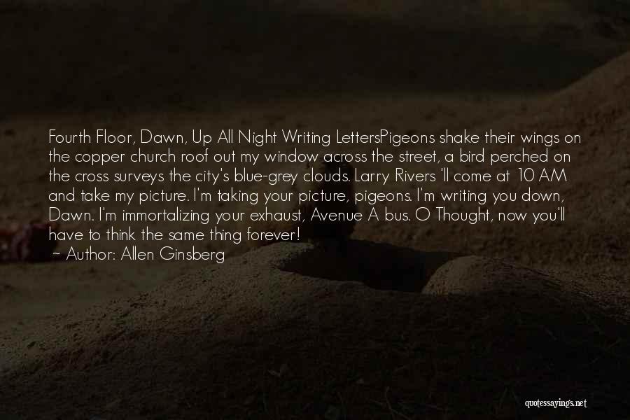 Night And Dawn Quotes By Allen Ginsberg