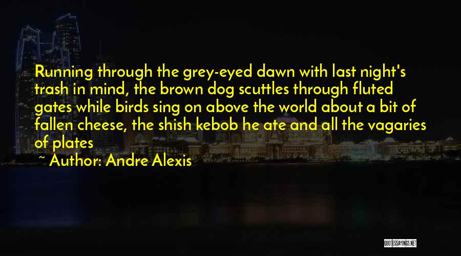 Night And Dawn Quotes By Andre Alexis