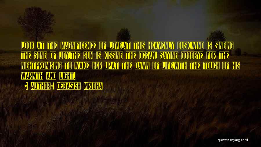 Night And Dawn Quotes By Debasish Mridha