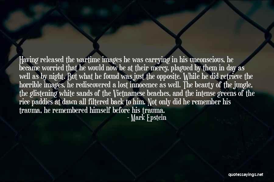 Night And Dawn Quotes By Mark Epstein Night And Dawn Quotes By Mark Epstein