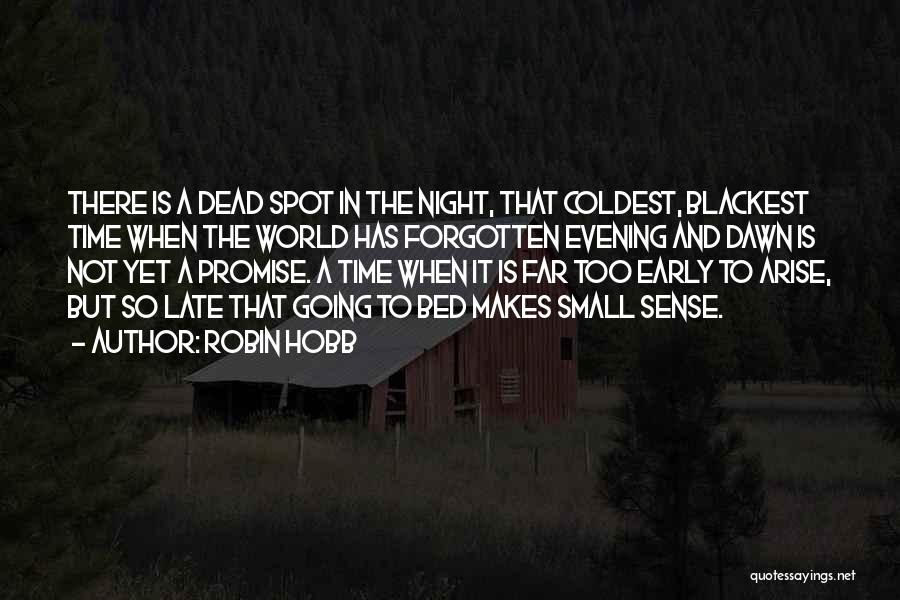 Night And Dawn Quotes By Robin Hobb