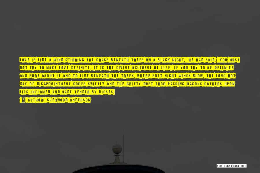 Night And Life Quotes By Sherwood Anderson