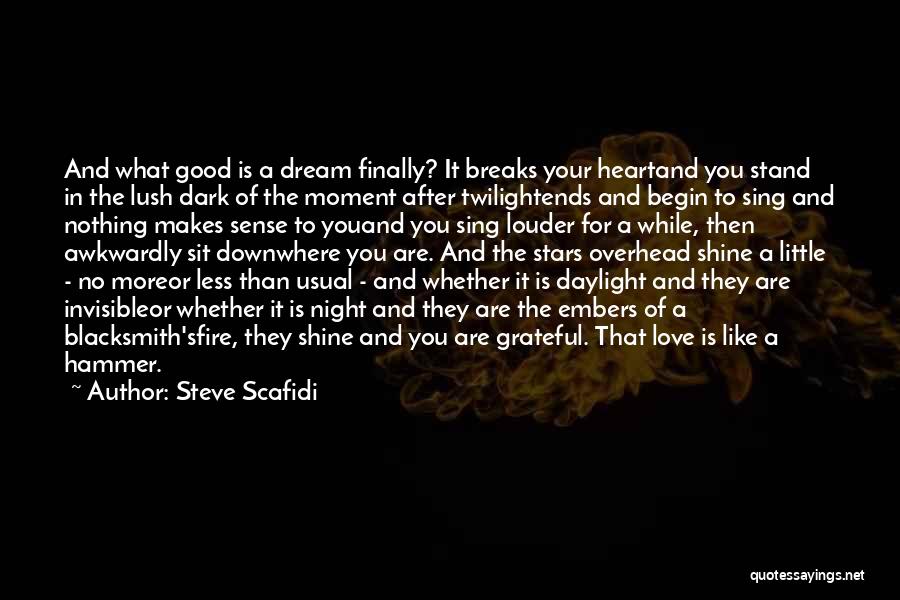 Night And Love Quotes By Steve Scafidi