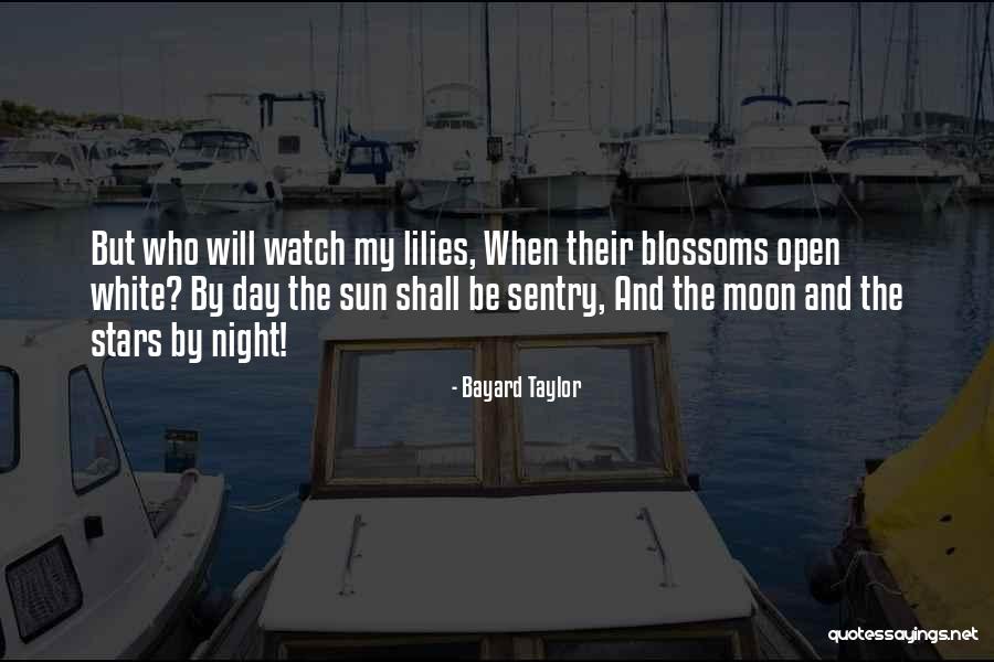 Night And Moon Quotes By Bayard Taylor