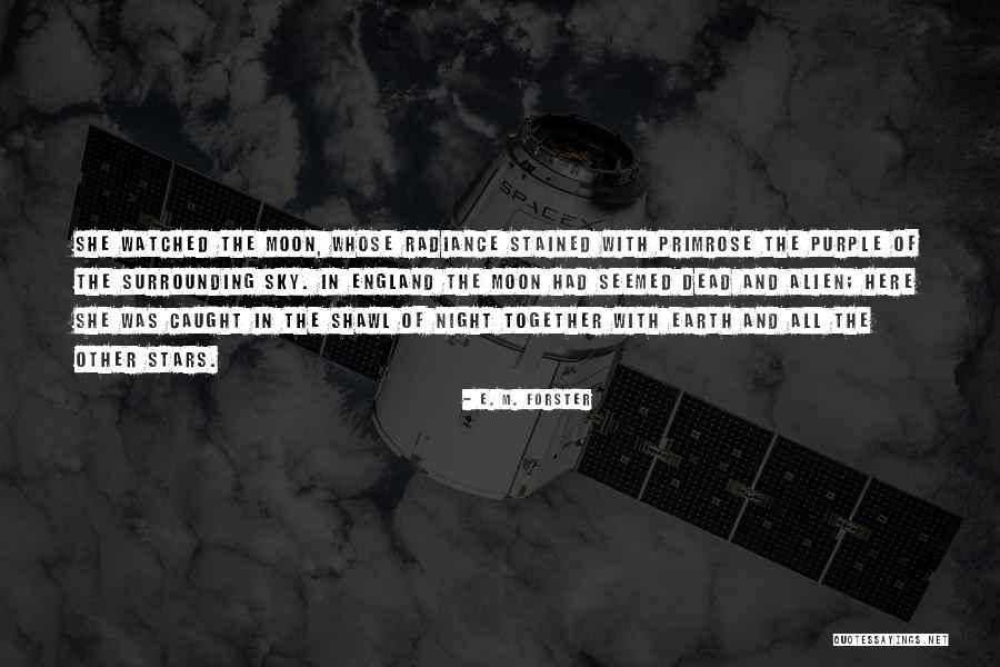 Night And Moon Quotes By E. M. Forster Night And Moon Quotes By E. M. Forster