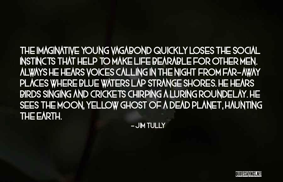 Night And Moon Quotes By Jim Tully Night And Moon Quotes By Jim Tully