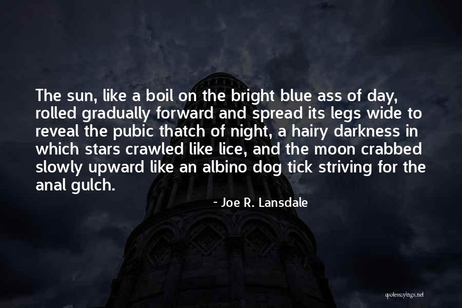 Night And Moon Quotes By Joe R. Lansdale