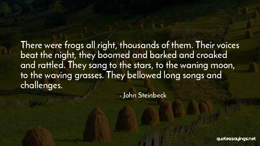 Night And Moon Quotes By John Steinbeck