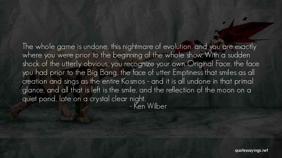 Night And Moon Quotes By Ken Wilber