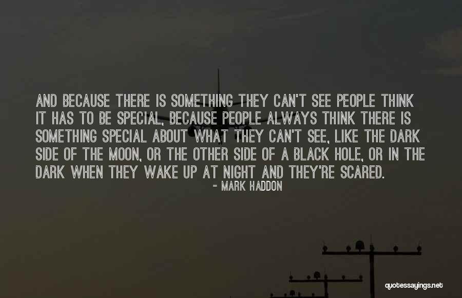 Night And Moon Quotes By Mark Haddon