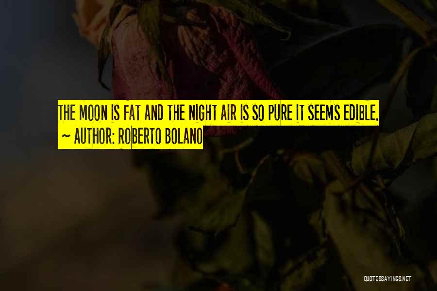 Night And Moon Quotes By Roberto Bolano