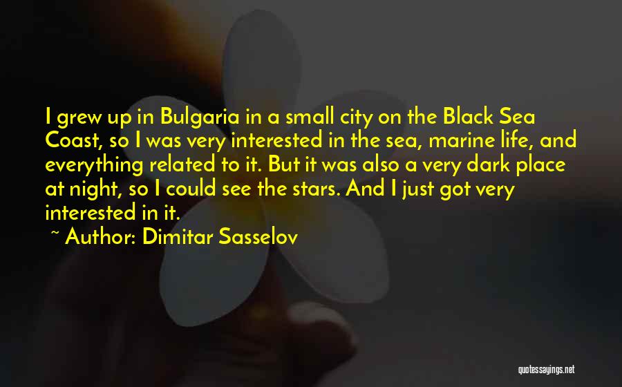 Night And Sea Quotes By Dimitar Sasselov