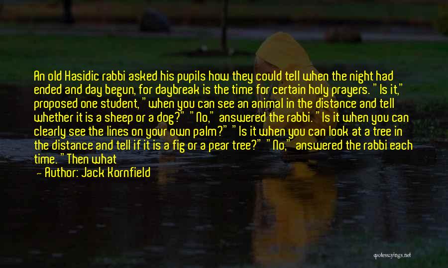 Night Animal Quotes By Jack Kornfield