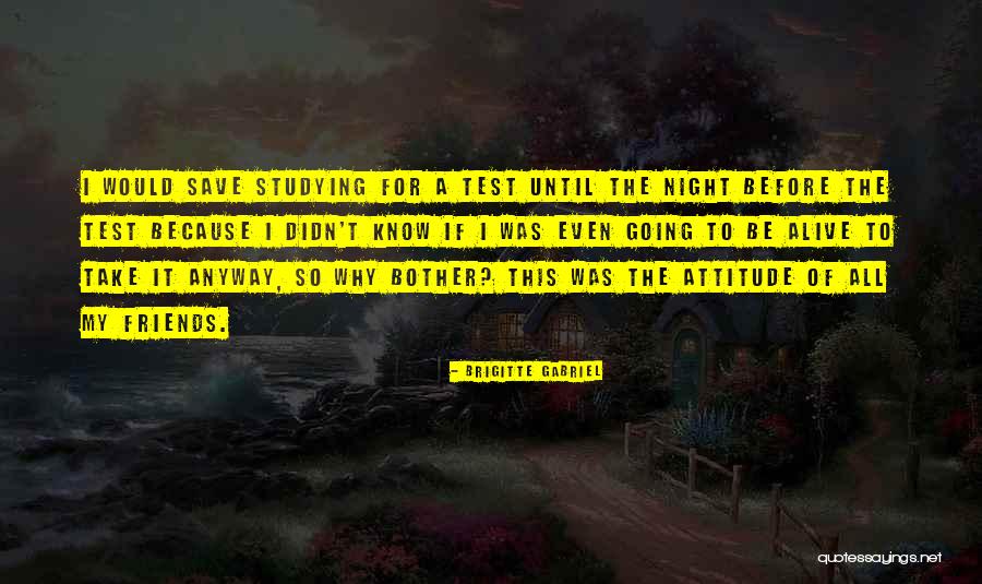 Night Before Quotes By Brigitte Gabriel Night Before Quotes By Brigitte Gabriel