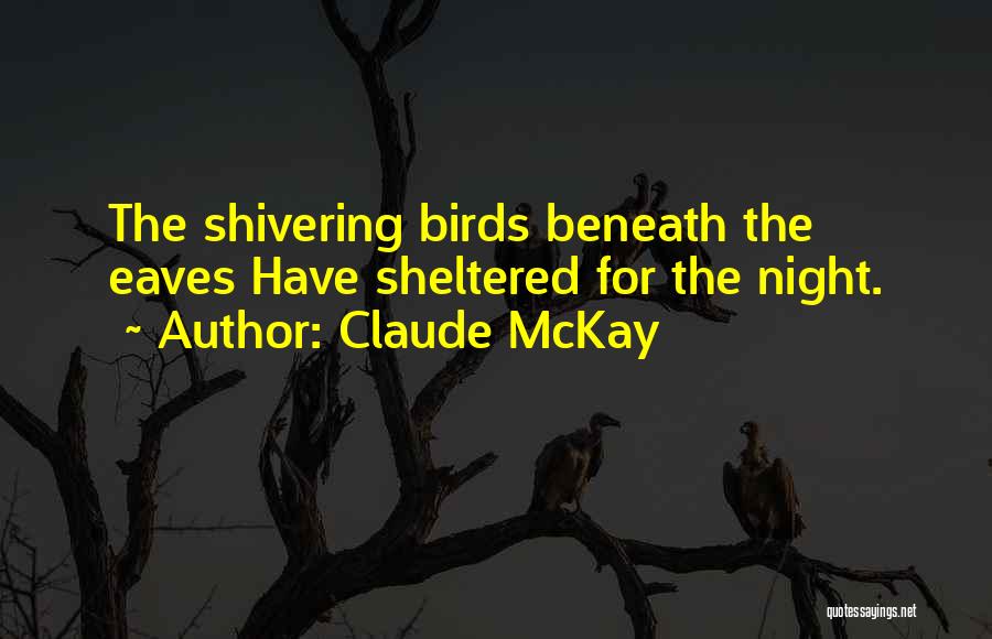 Night Bird Quotes By Claude McKay