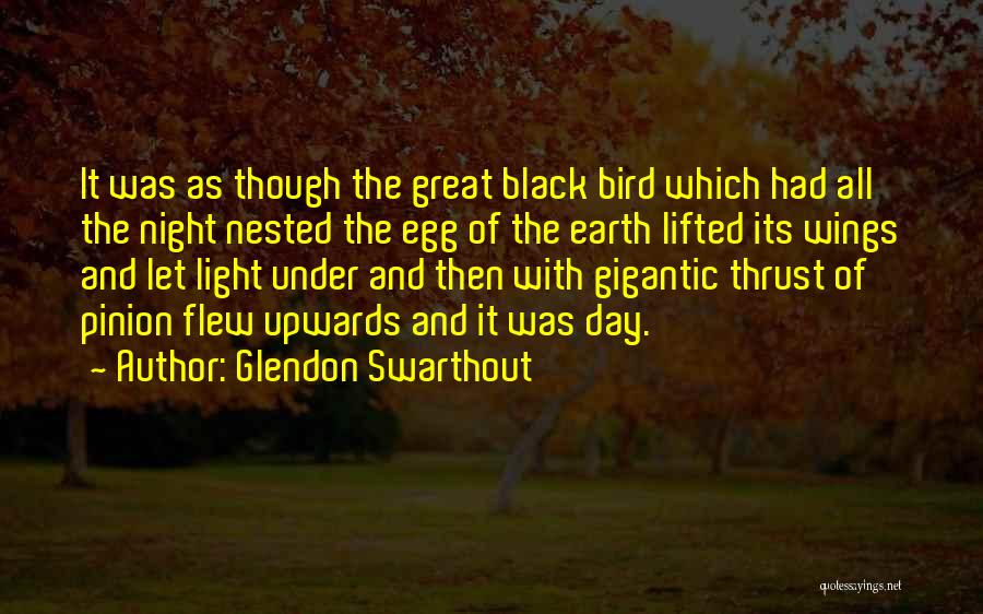 Night Bird Quotes By Glendon Swarthout