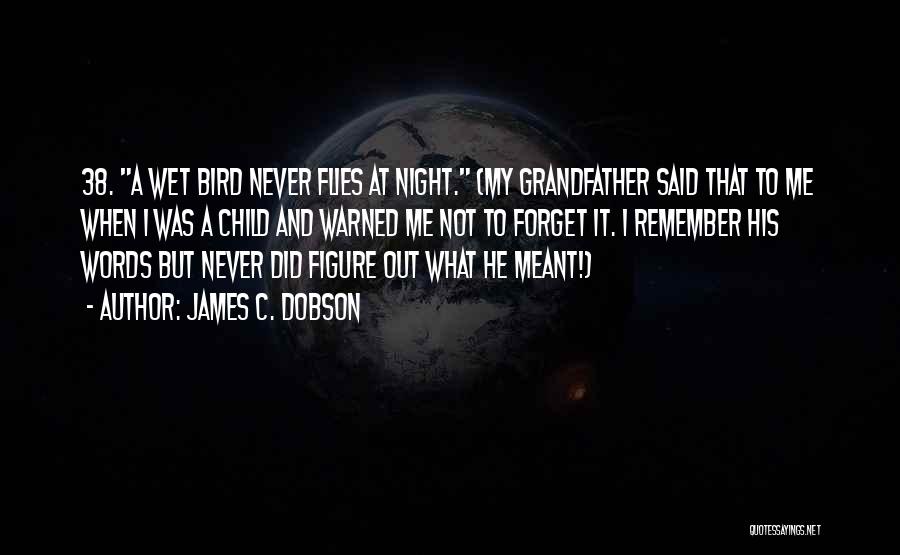 Night Bird Quotes By James C. Dobson