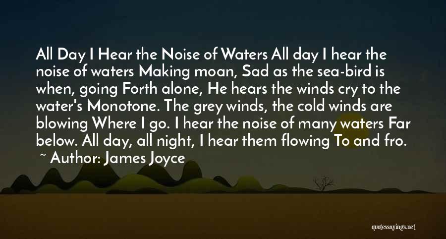 Night Bird Quotes By James Joyce