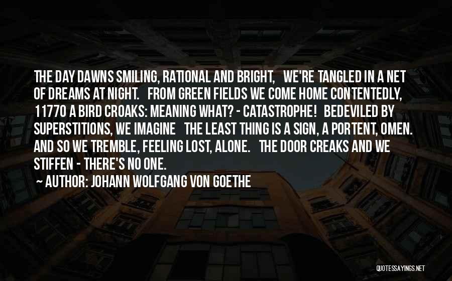 Night Bird Quotes By Johann Wolfgang Von Goethe