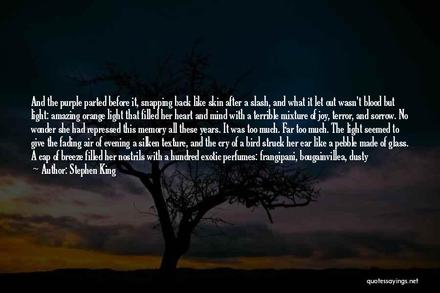 Night Bird Quotes By Stephen King