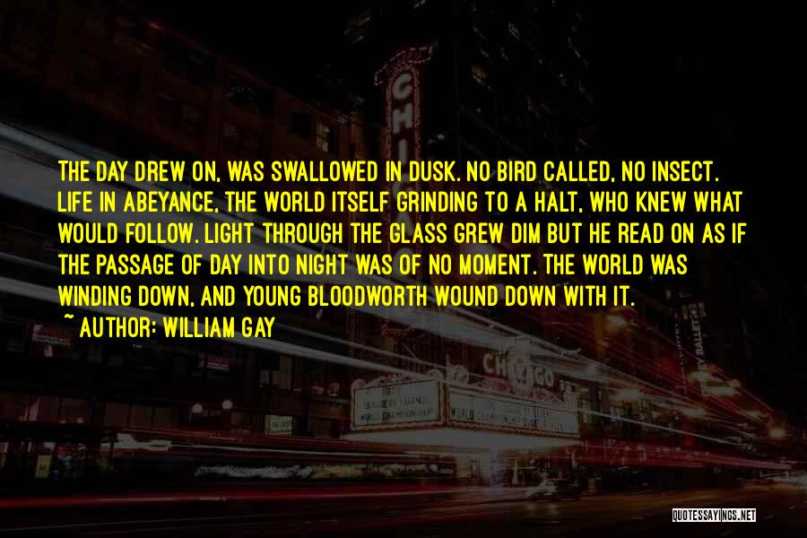 Night Bird Quotes By William Gay