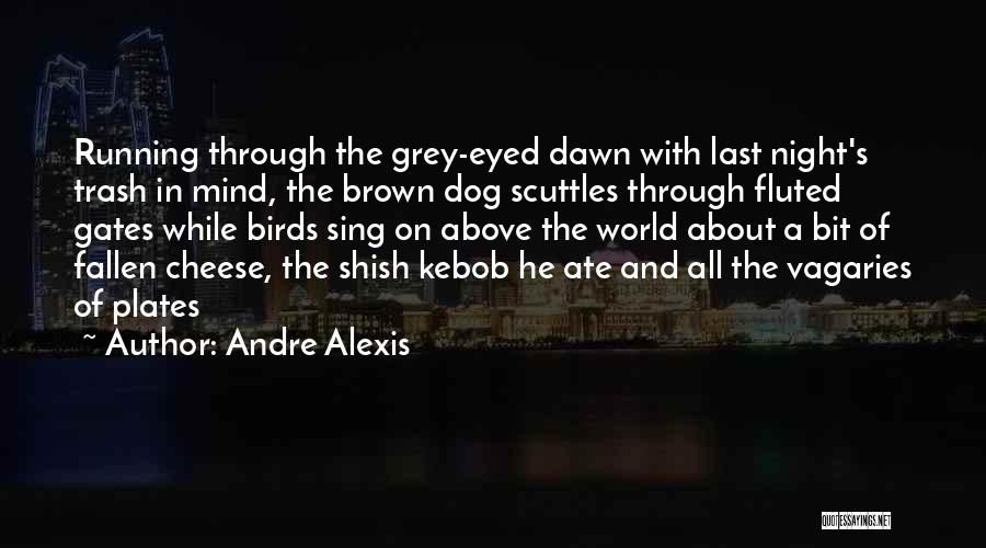 Night Birds Quotes By Andre Alexis