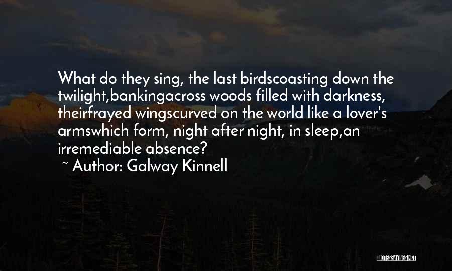 Night Birds Quotes By Galway Kinnell