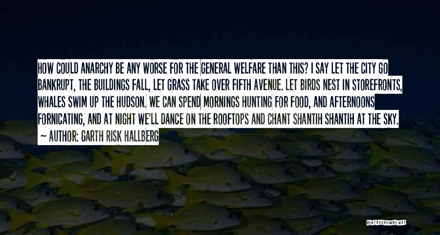 Night Birds Quotes By Garth Risk Hallberg