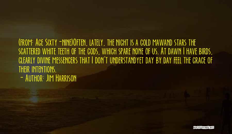 Night Birds Quotes By Jim Harrison